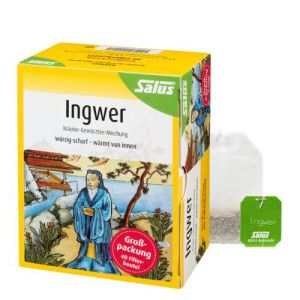 INGWER KRÄUTER-GEWÜRZTEE-Mischung Bio Salus Fbtl.